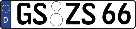 GS-ZS66