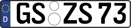 GS-ZS73