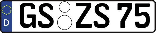 GS-ZS75