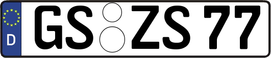 GS-ZS77