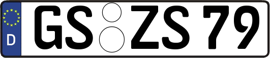 GS-ZS79