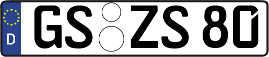 GS-ZS80