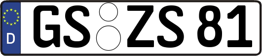 GS-ZS81
