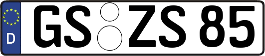 GS-ZS85