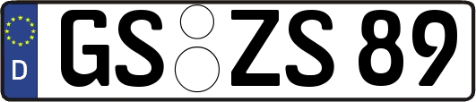 GS-ZS89