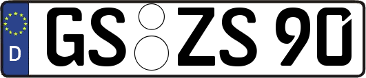 GS-ZS90