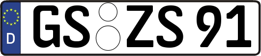 GS-ZS91