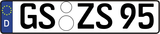 GS-ZS95