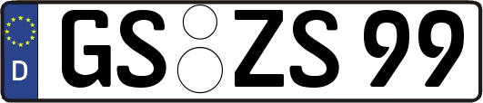 GS-ZS99