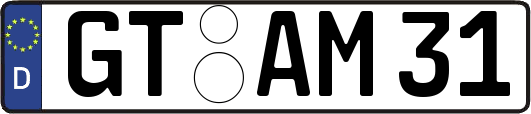GT-AM31