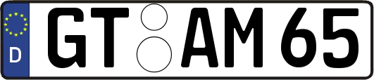 GT-AM65