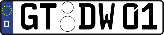 GT-DW01
