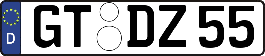 GT-DZ55