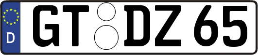 GT-DZ65