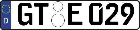 GT-E029