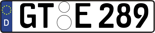 GT-E289
