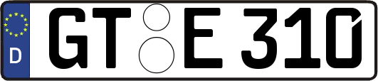 GT-E310
