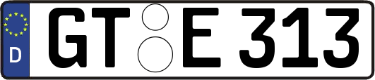 GT-E313