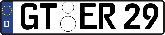 GT-ER29