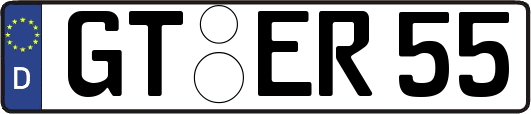 GT-ER55