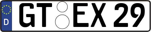GT-EX29