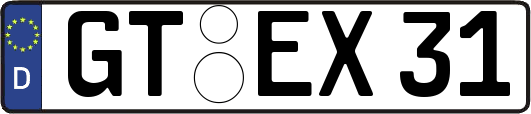 GT-EX31