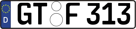 GT-F313