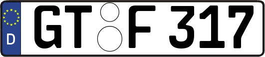 GT-F317