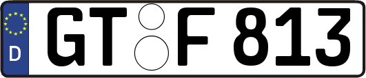 GT-F813