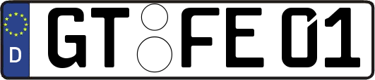GT-FE01