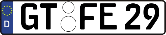 GT-FE29