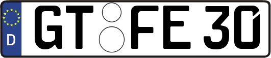 GT-FE30
