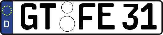 GT-FE31