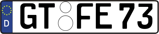 GT-FE73