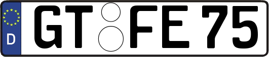 GT-FE75