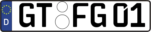 GT-FG01