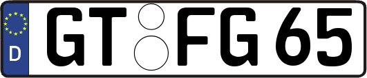 GT-FG65