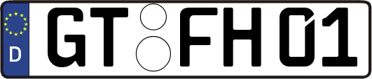 GT-FH01