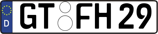 GT-FH29