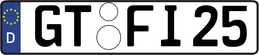 GT-FI25
