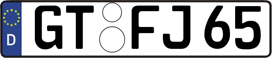 GT-FJ65