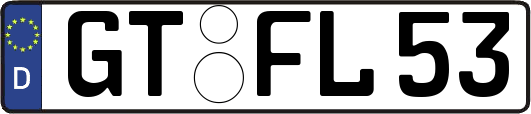 GT-FL53