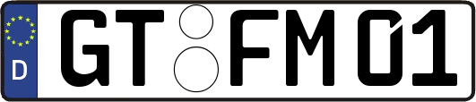 GT-FM01