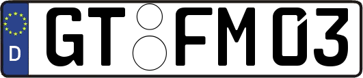 GT-FM03