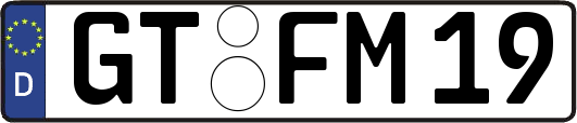 GT-FM19