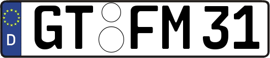 GT-FM31