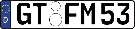 GT-FM53