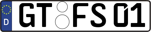GT-FS01