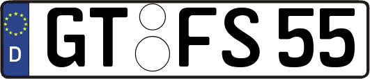 GT-FS55