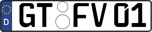 GT-FV01